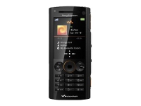      Sony Ericsson W902